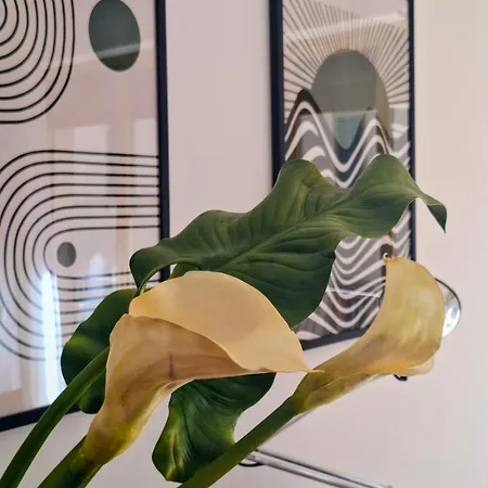 Apartman Casa Mecenate *